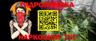 ECSTASY Лесосибирск