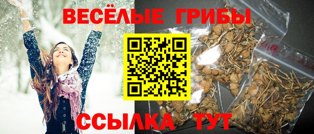 Егорьевск  Галлюциногенные грибы Magic Shrooms  Вход с VPN  Псилоцибиновые грибы Psilocybine cubensis 