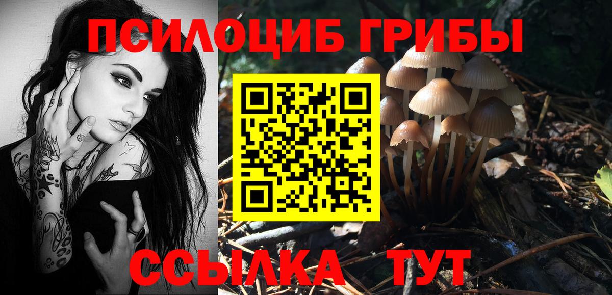 Псилоцибиновые грибы мухоморы Егорьевск